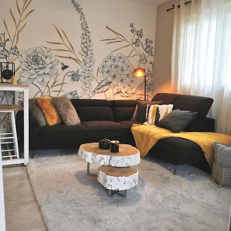 Appartement Chic & Cosy 圣皮埃尔 外观 照片