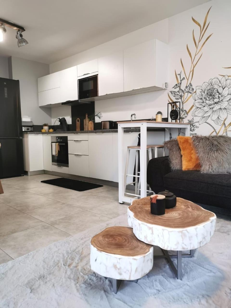 Appartement Chic & Cosy 圣皮埃尔 外观 照片